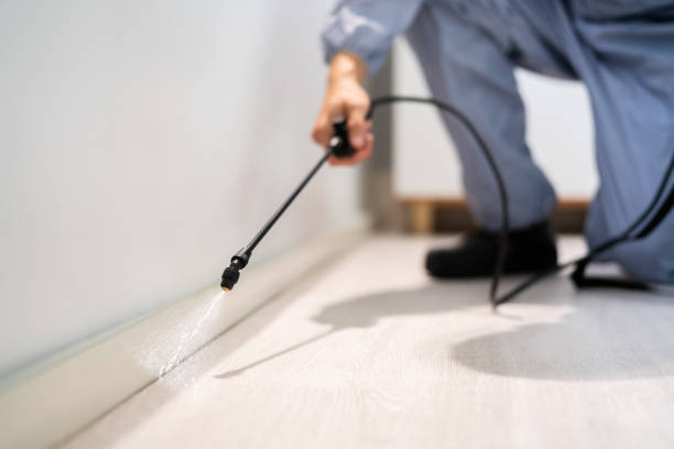 Bed Bug Pre-Treatment Preparation Assessment in Detroit