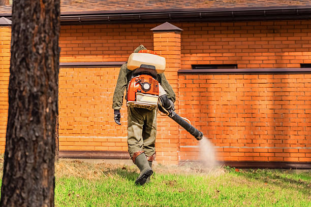 Bed Bug Clearance Verification and Documentation in Detroit
